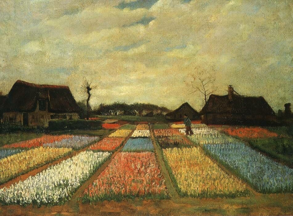 Bulb Fields by Vincent van Gogh