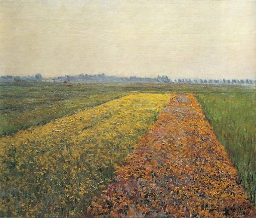 The Yellow Fields at Gennevilliers by Gustave Caillebotte
