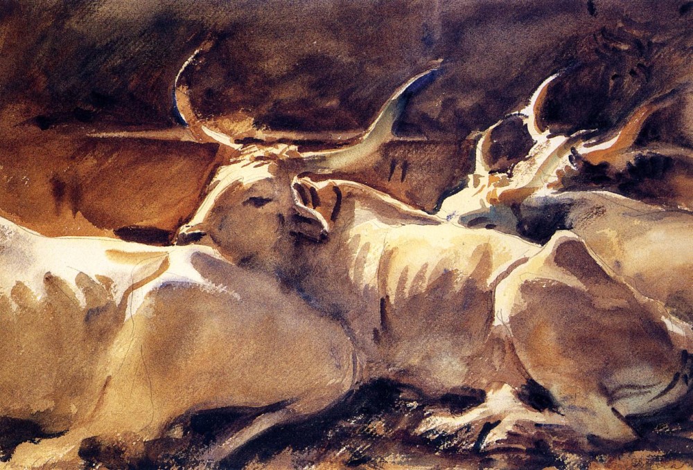 Oxen in Repose by John Singer Sargent