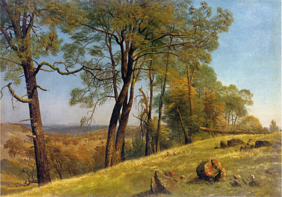 Landscape Rockland County California by Albert Bierstadt