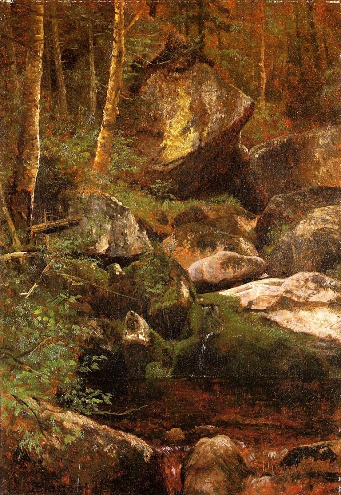 Forest Stream by Albert Bierstadt