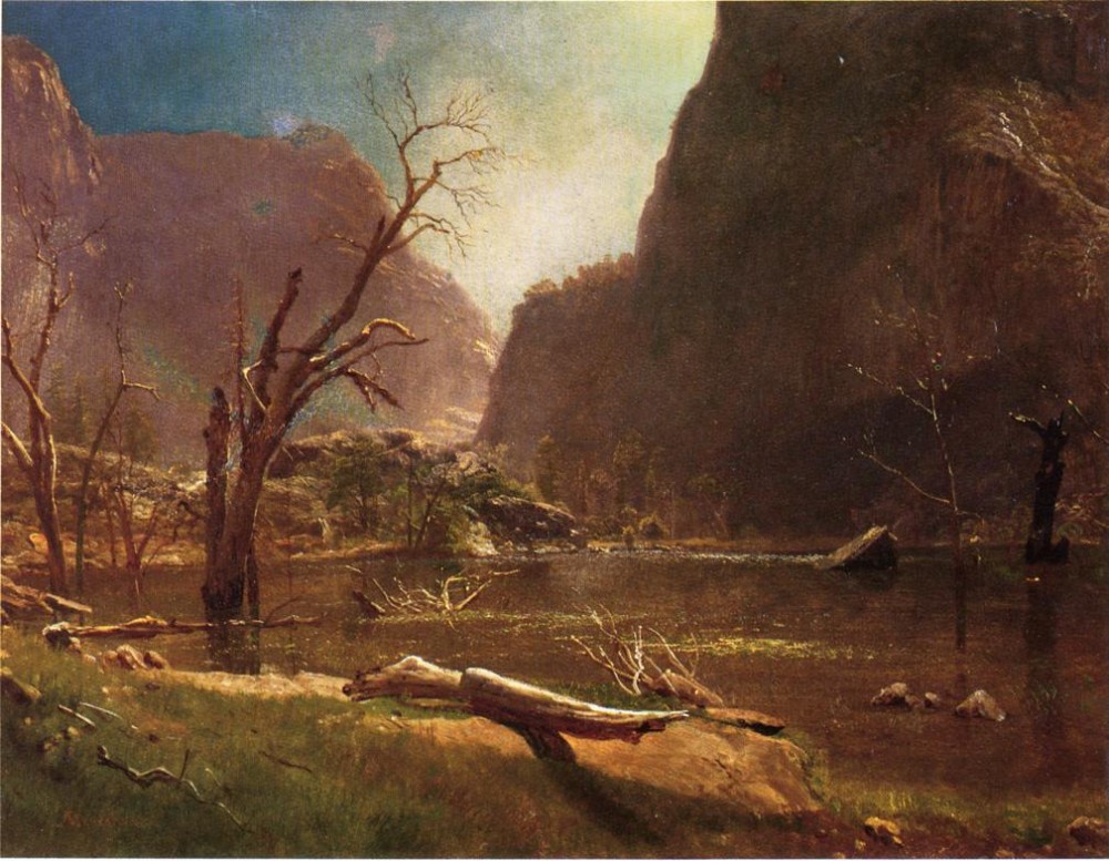 Hatch Hatchy Valley California by Albert Bierstadt