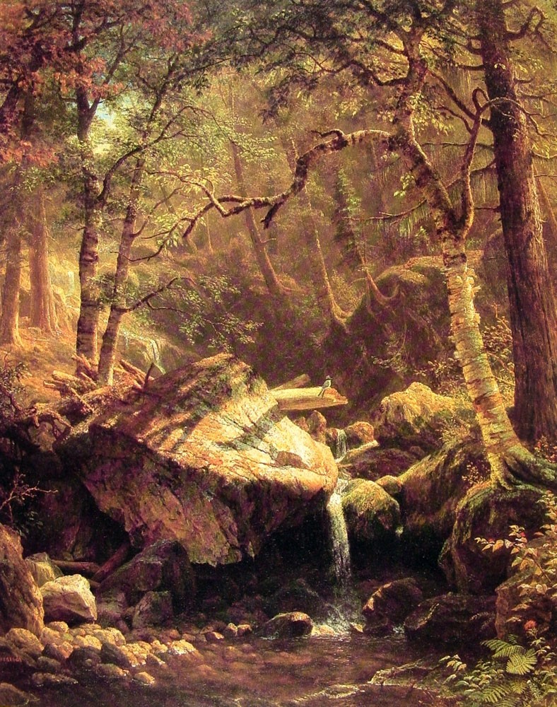 The Mountain Brook by Albert Bierstadt