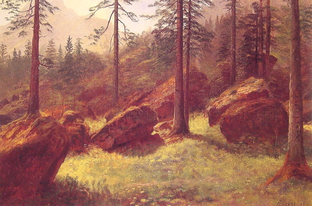 Wooded Landscape by Albert Bierstadt