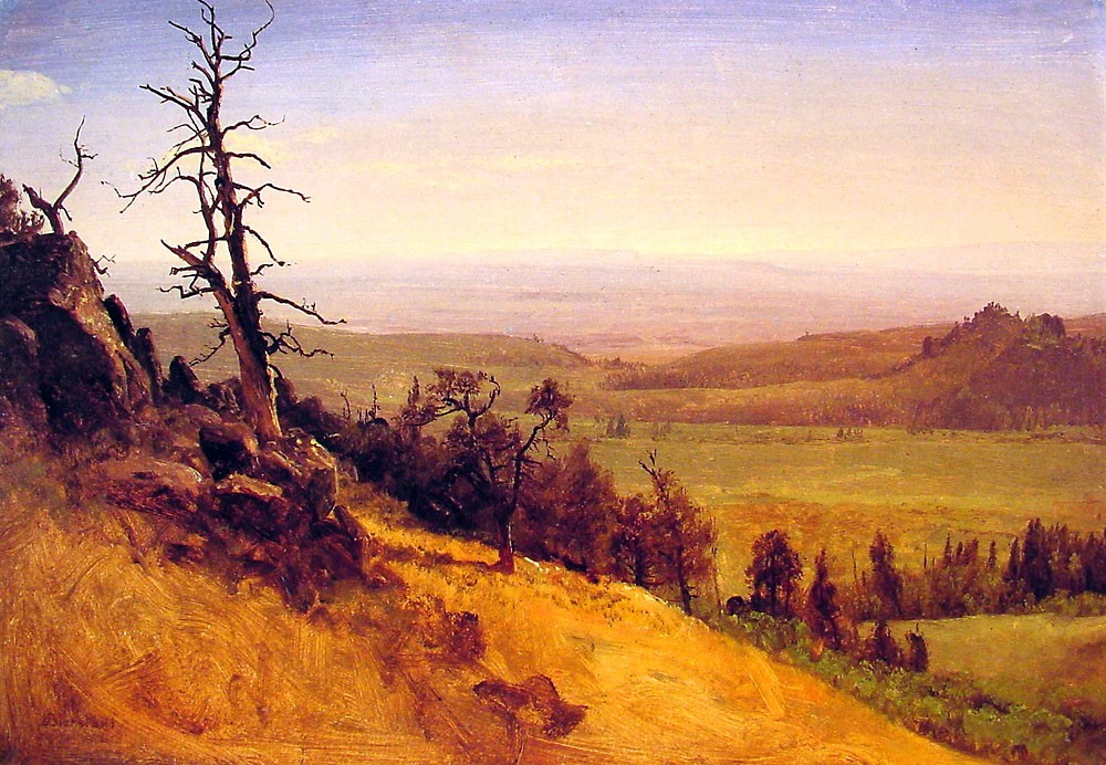 Newbraska Wasatch Mountains by Albert Bierstadt
