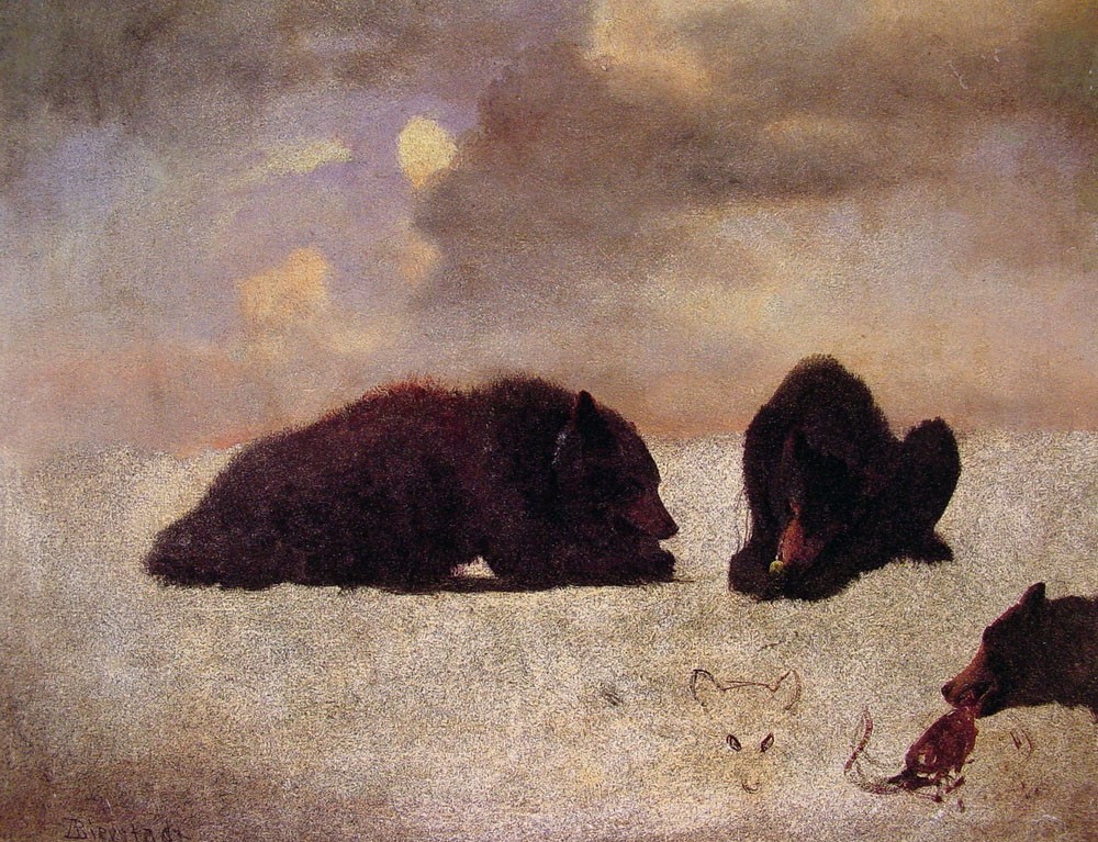 Grizzly Bears by Albert Bierstadt