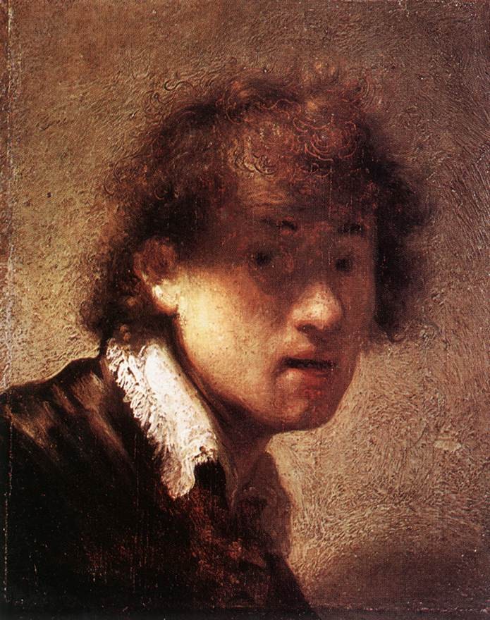 Self Portrait (1629 #2) by Rembrandt Harmenszoon van Rijn