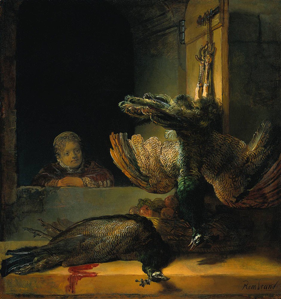 Dead peacocks by Rembrandt Harmenszoon van Rijn