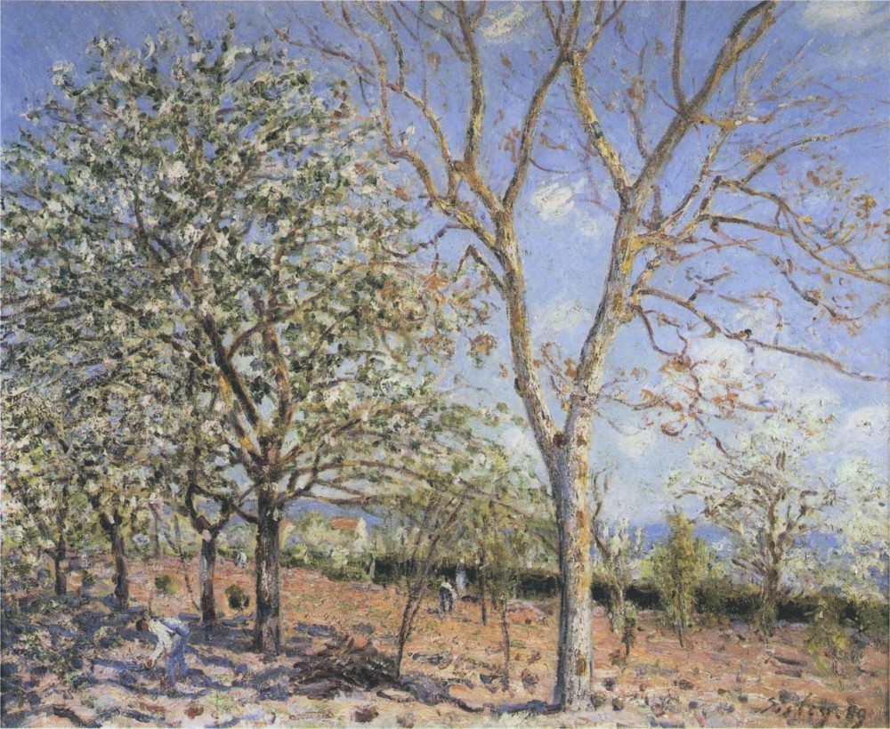 Trees in Bloom by Alfred Sisley