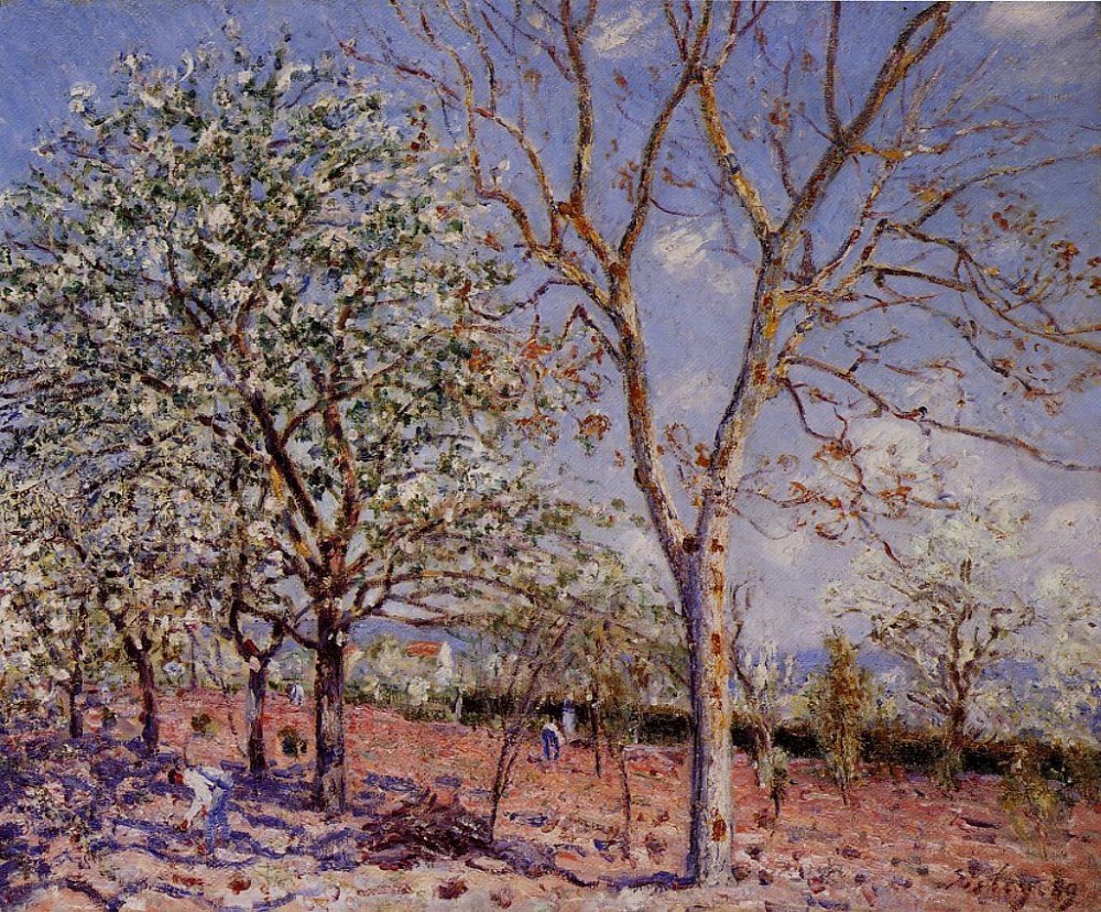 Plum and Walnut Trees in Spring by Alfred Sisley