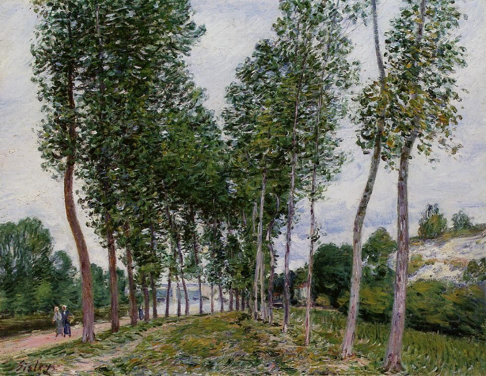 Lane of Poplars on the Banks of the Loing by Alfred Sisley