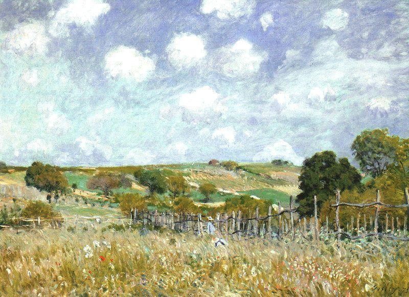 Meadow by Alfred Sisley
