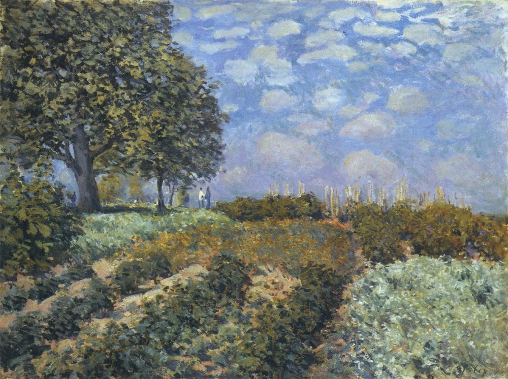The Fields by Alfred Sisley