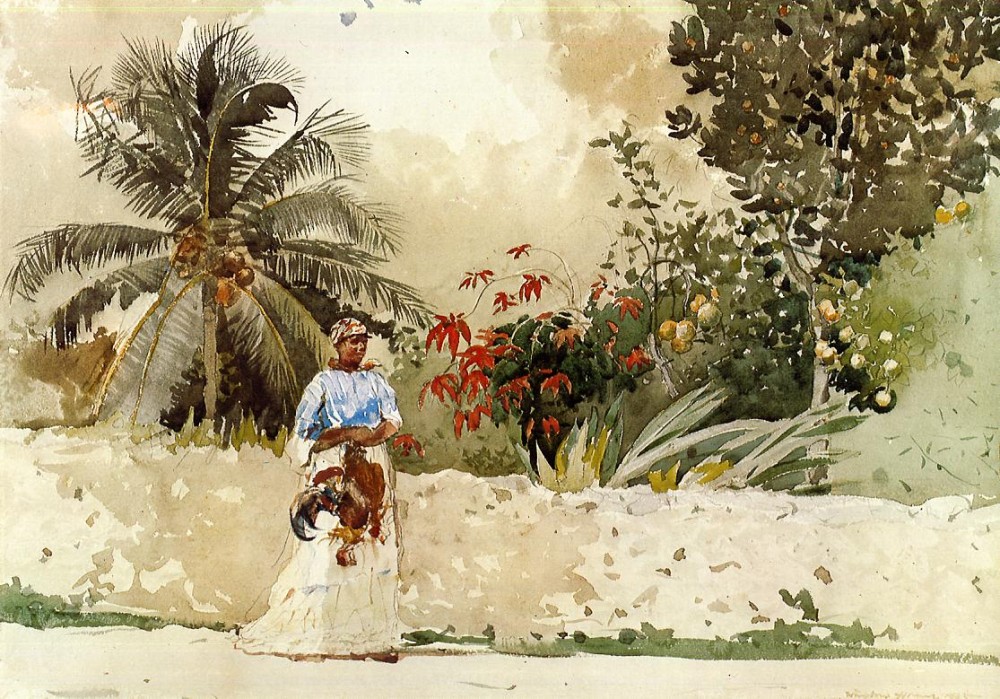 On the Way to the Bahamas by Winslow Homer