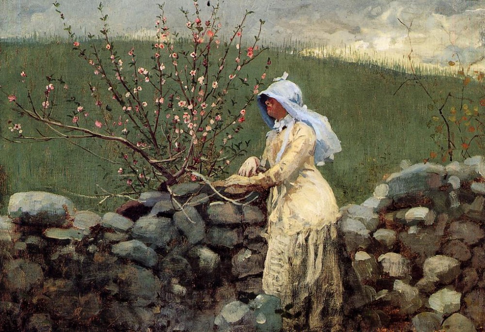 Peach Blossoms 2 by Winslow Homer