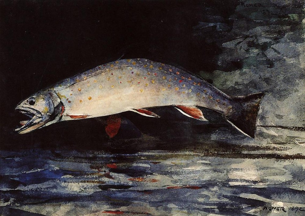 A Brook Trout by Winslow Homer
