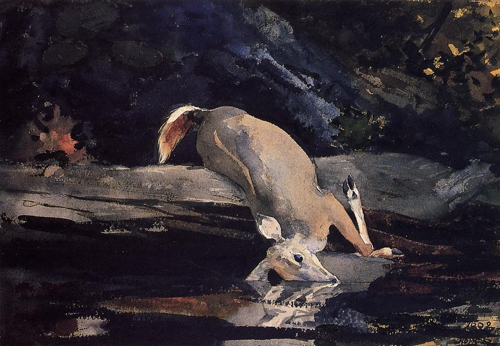 Fallen Deer by Winslow Homer