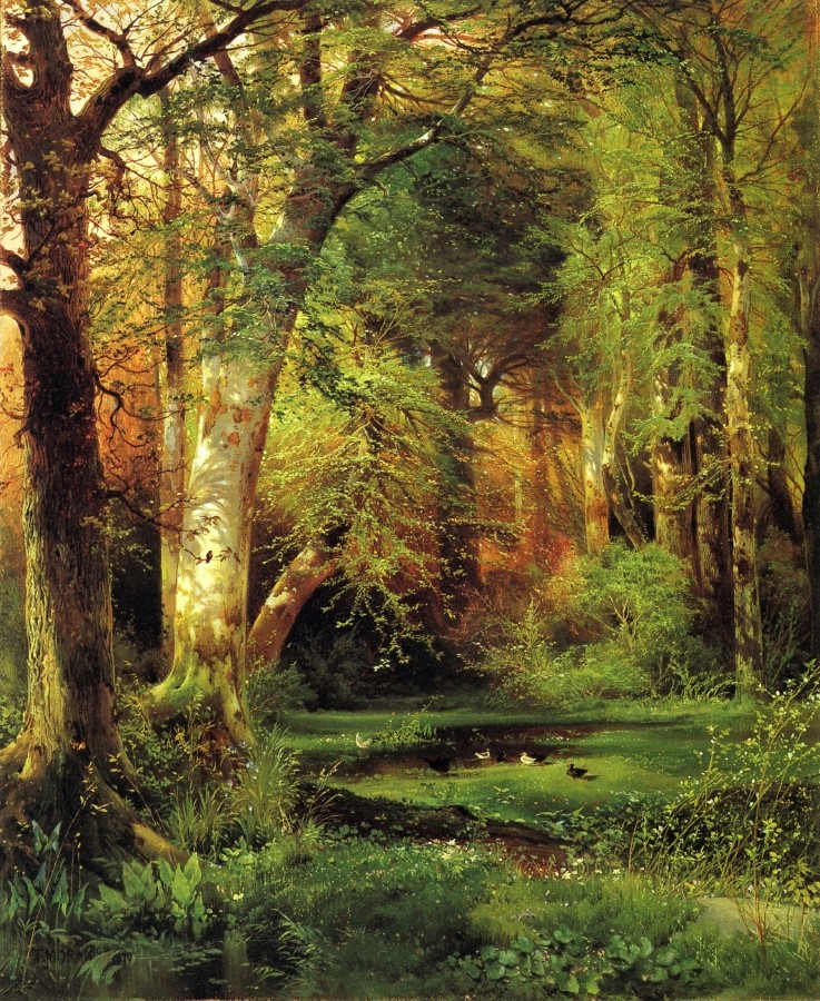 Forest Scene by Thomas Moran
