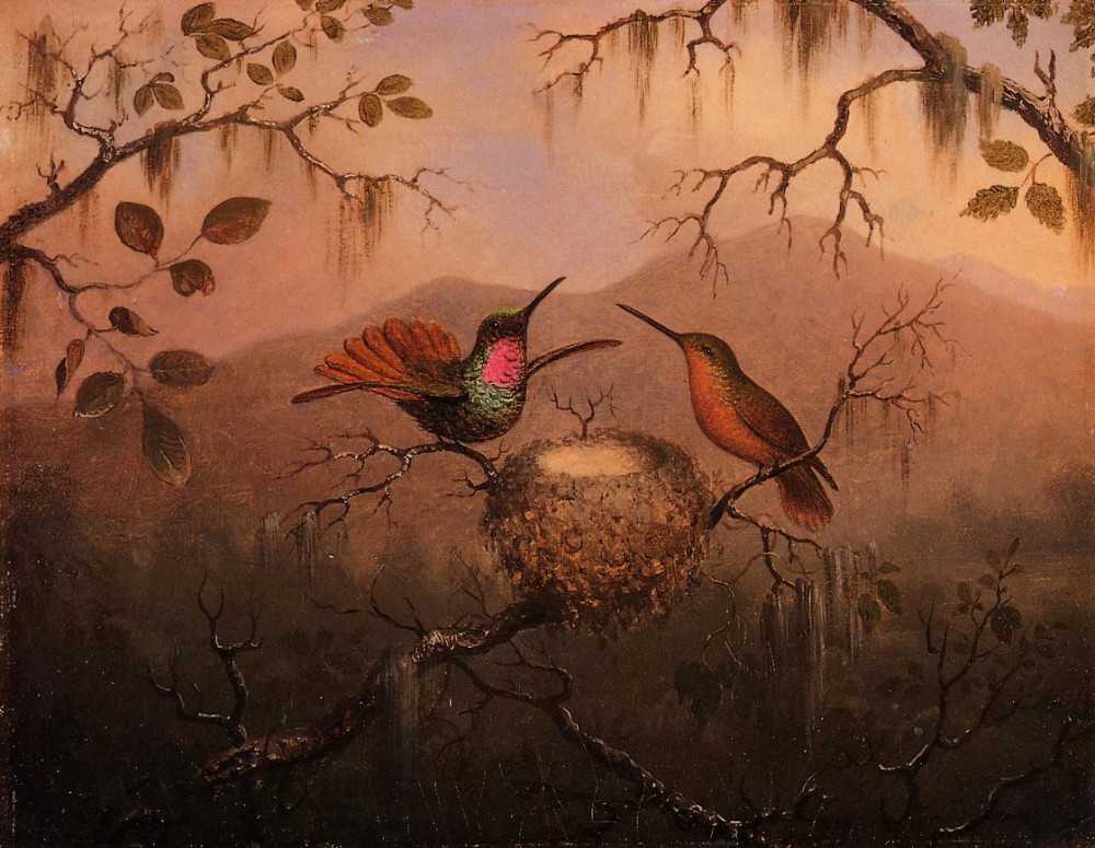 Two Hummingbirds At A Nest by Martin Johnson Heade
