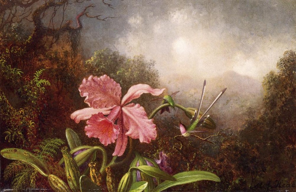 Two Hummingbirds By An Orchid by Martin Johnson Heade