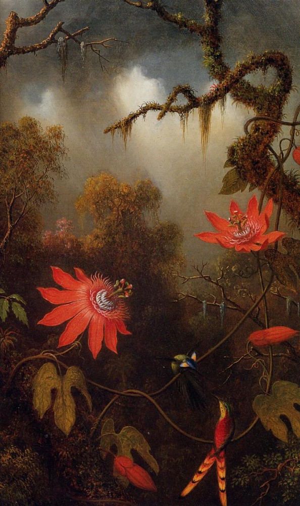 Two Hummingbirds Perched On Passion Flower Vines by Martin Johnson Heade
