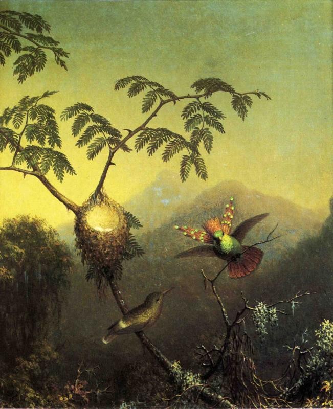 Two Hummingbirds Tufted Coquettes by Martin Johnson Heade