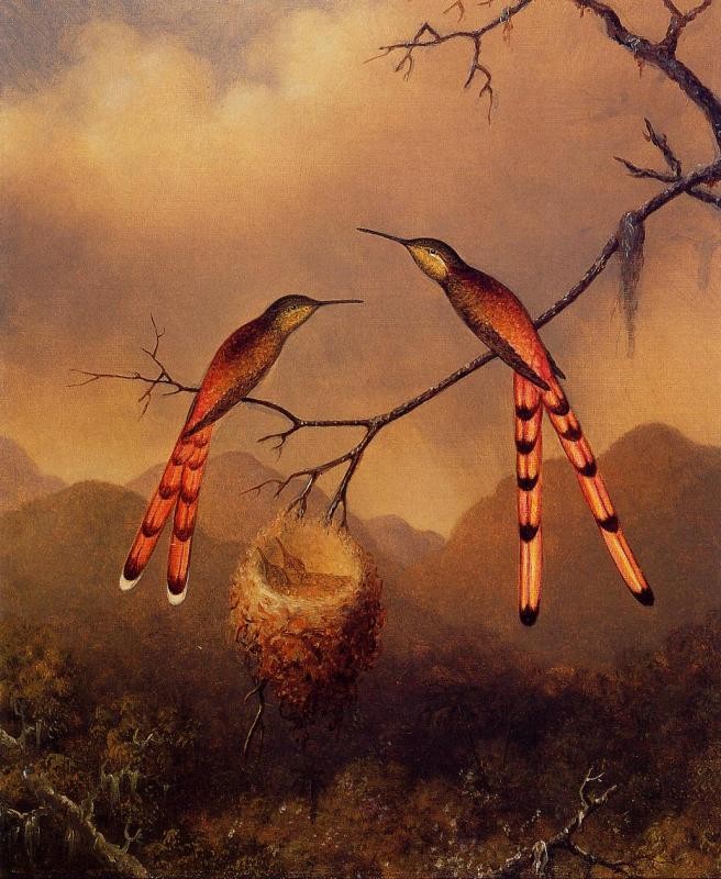 Two Hummingbirds With Their Young by Martin Johnson Heade