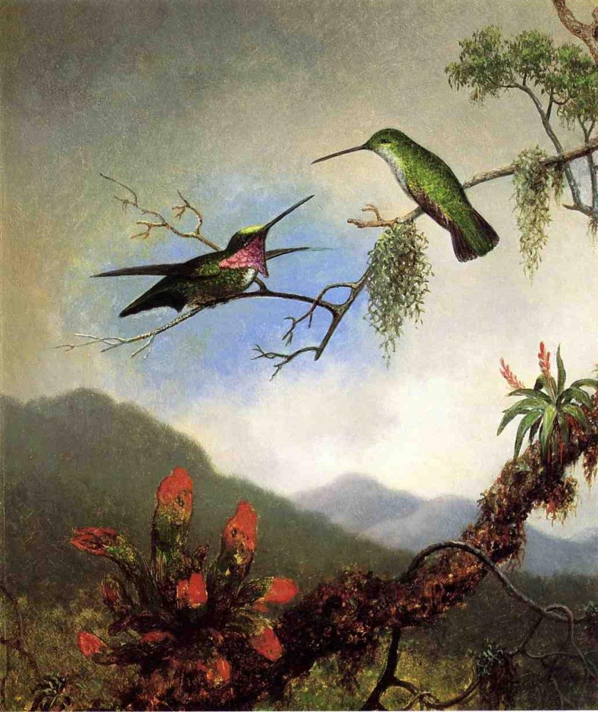 Anethyst Hummingbirds by Martin Johnson Heade