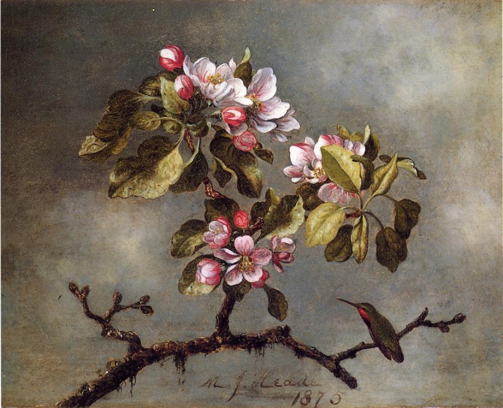 Apple Blossoms And Hummingbird One by Martin Johnson Heade