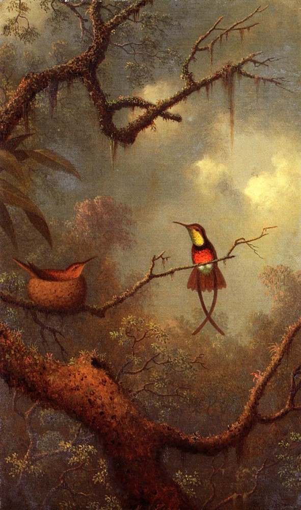 Cromson Topaz Hummingbirds Nesting In A Tropical Forest by Martin Johnson Heade