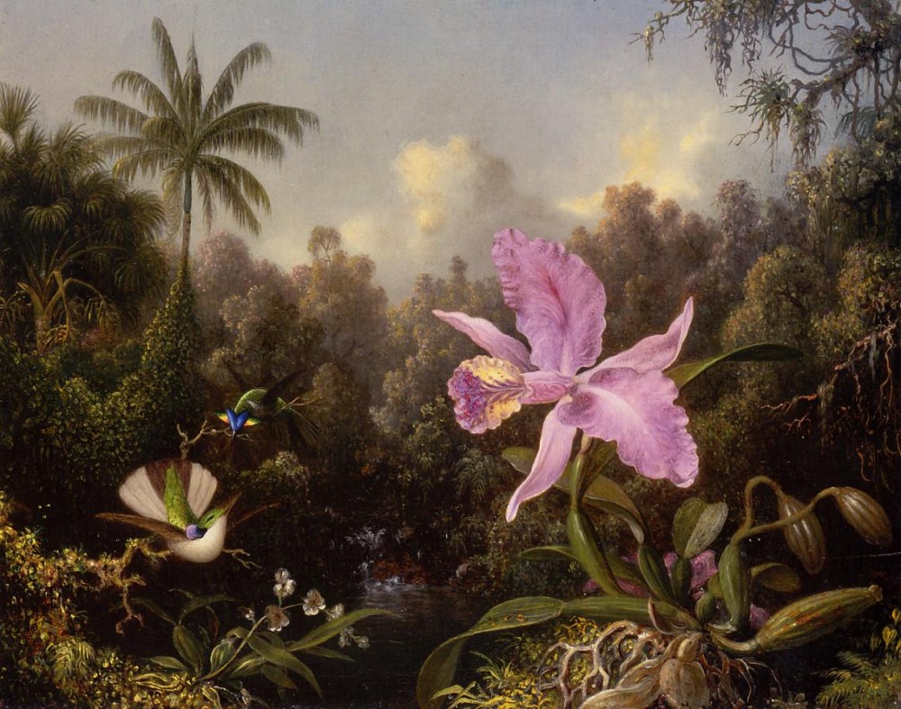 Orchid And Two Hummingburds by Martin Johnson Heade