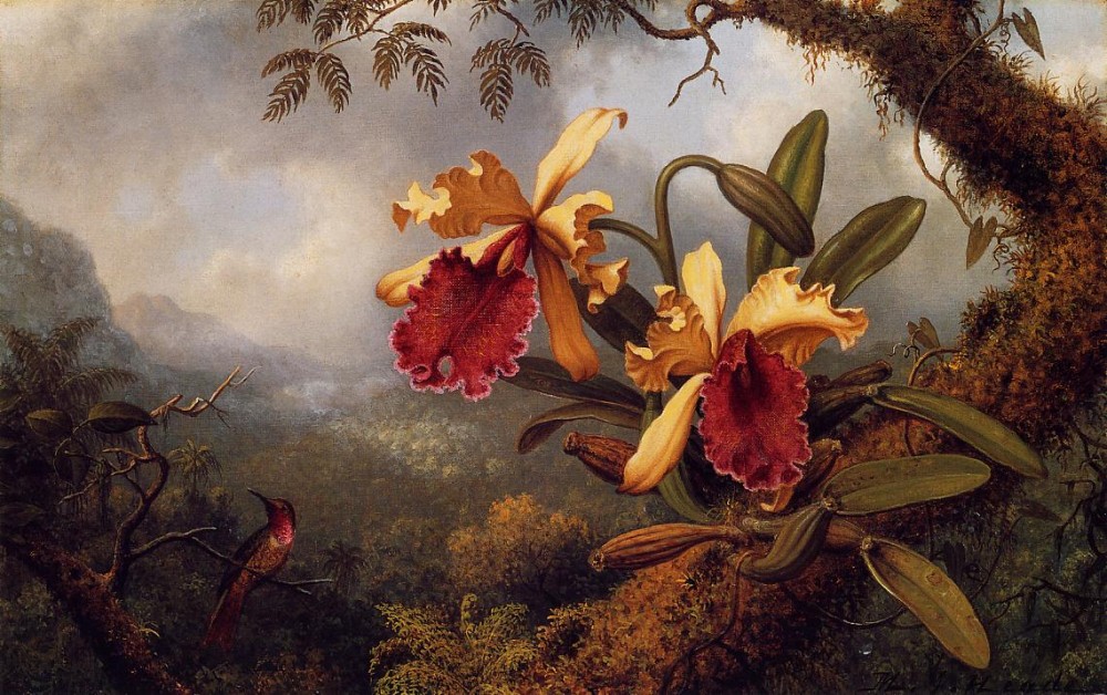 Orchids And Hummingbird One by Martin Johnson Heade