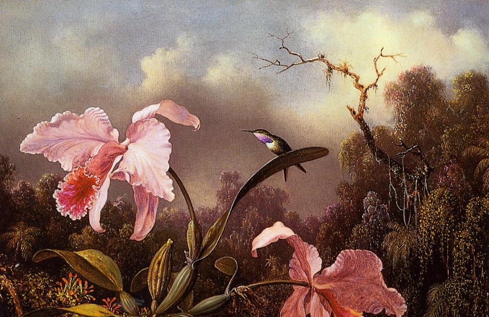 Orchids And Hummingbird Two by Martin Johnson Heade
