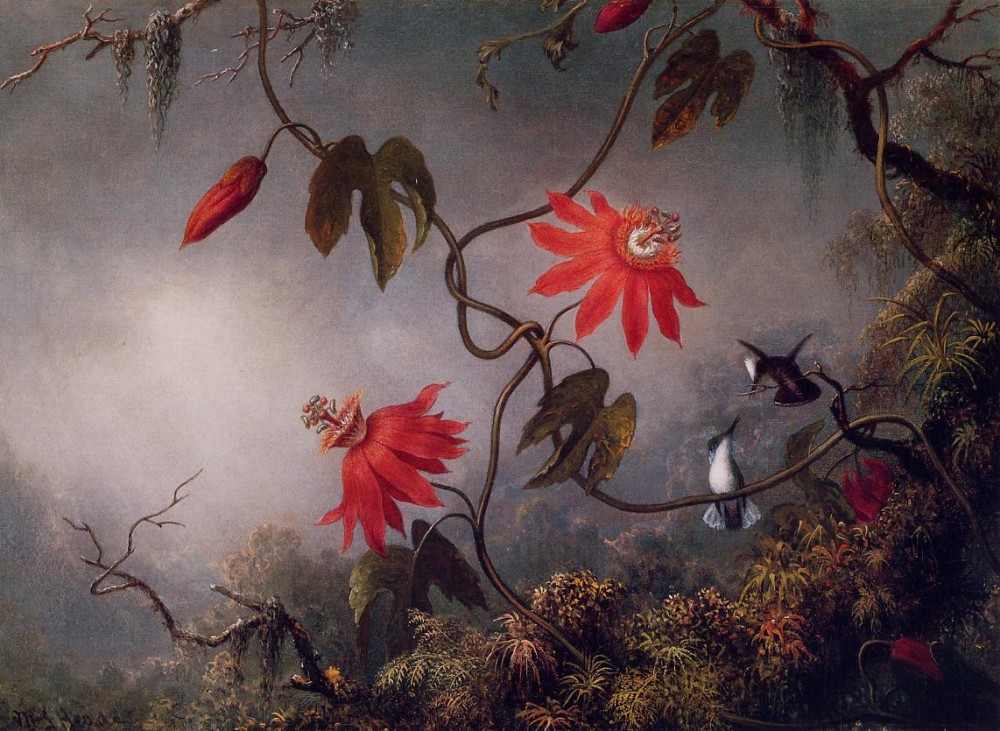 Passion Flowers And Hummingbirds Two by Martin Johnson Heade