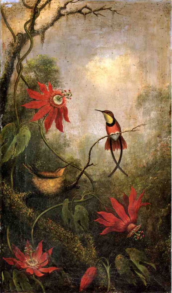 Passion Flowers And Hummingbirds by Martin Johnson Heade