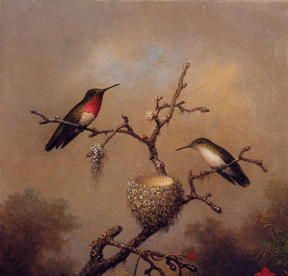 Ruby Throated Hummingbird by Martin Johnson Heade