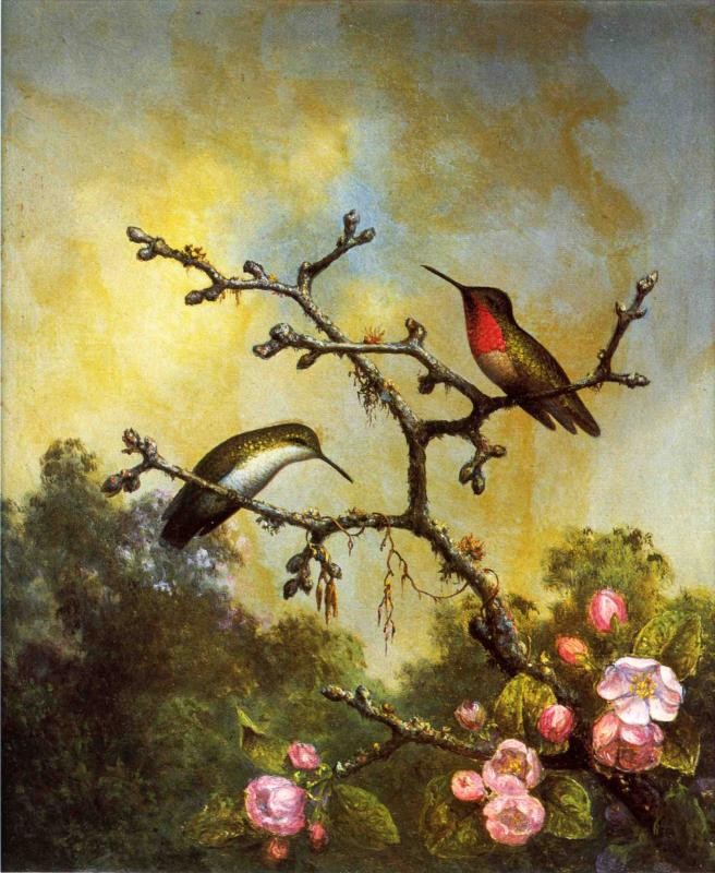 Ruby Throated Hummingbirds With Apply Blossoms by Martin Johnson Heade