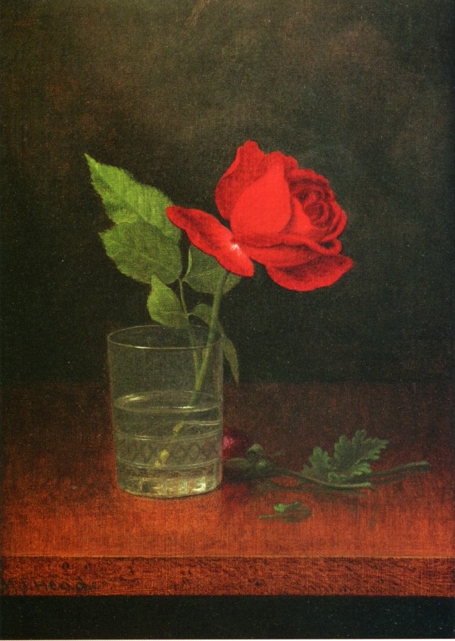 A Single Rose In A Glass by Martin Johnson Heade