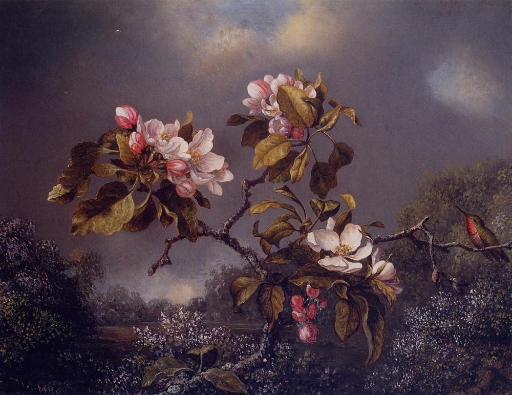 Apple Blossoms And Hummingbird Two by Martin Johnson Heade