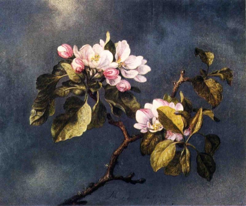 Apple Blossoms by Martin Johnson Heade