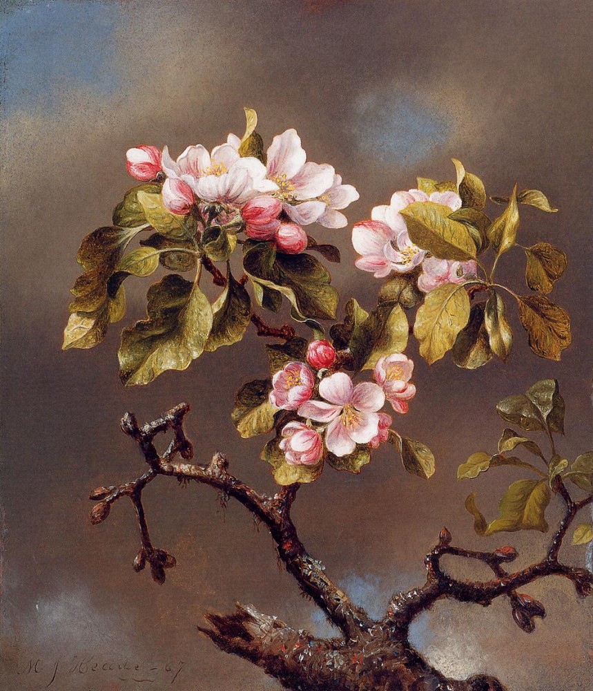 Branch Of Apple Blossoms Against A Cloudy Sky by Martin Johnson Heade