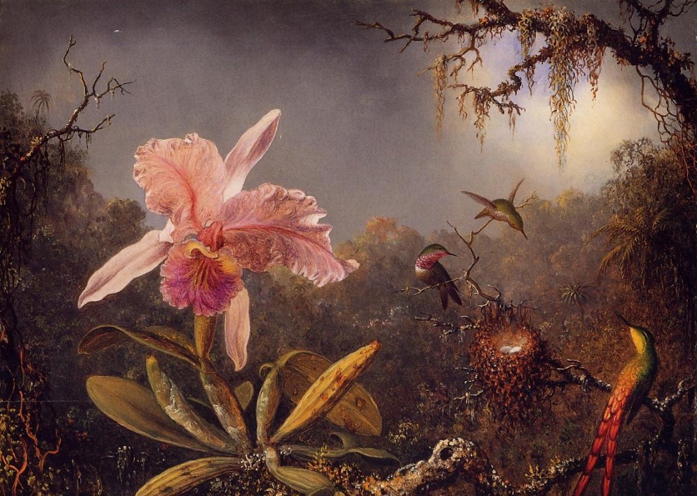 Cattleya Orchid And Three Brazilian Hummingbirds by Martin Johnson Heade