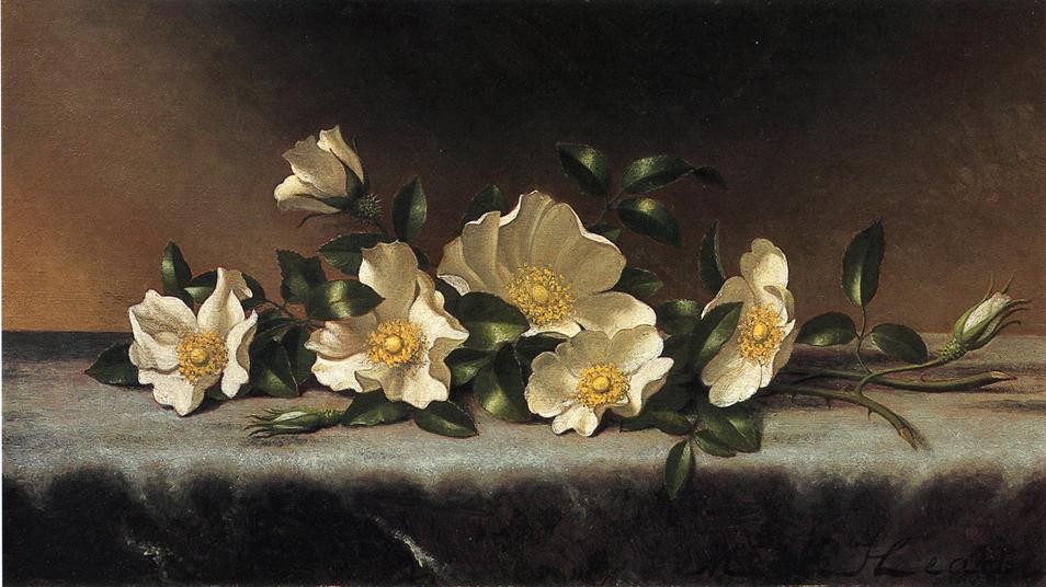 Cherokee Roses On A Light Gray Cloth by Martin Johnson Heade
