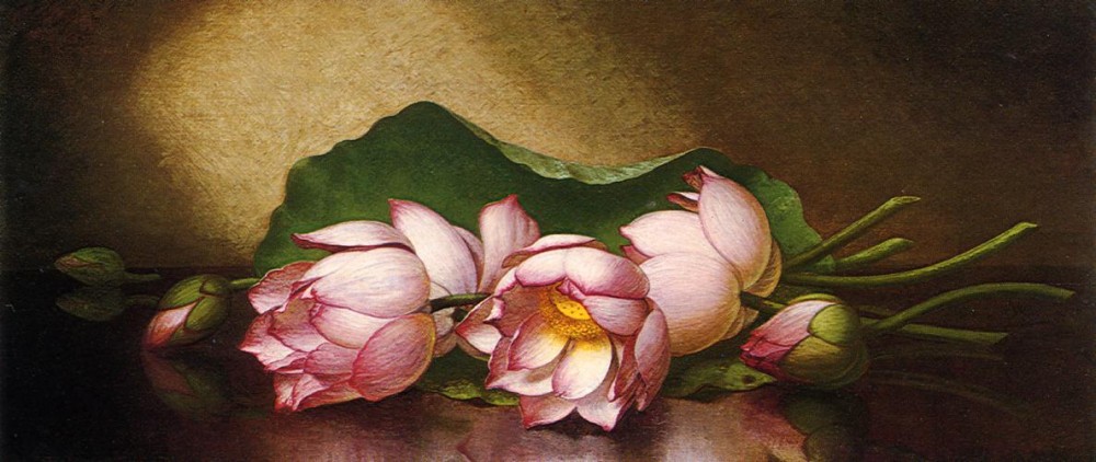 Egyptian Lotus Blossom by Martin Johnson Heade
