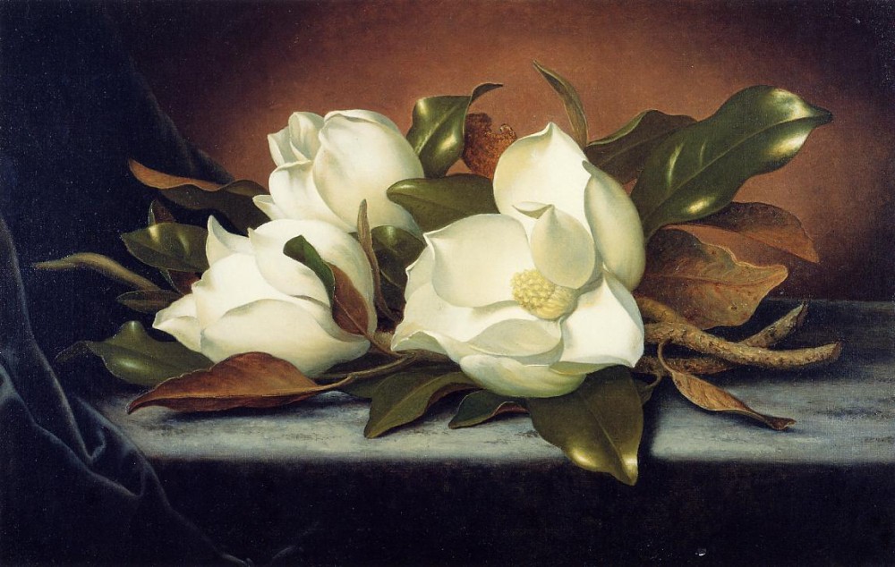 Giant Magnolias by Martin Johnson Heade