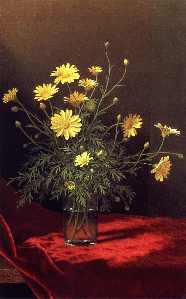 Golden Marguerites by Martin Johnson Heade