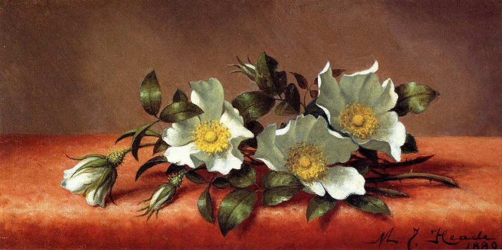 The Cherokee Rose by Martin Johnson Heade