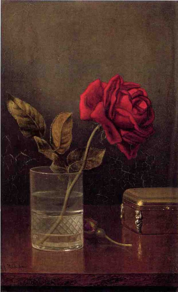 The Queen Of Roses by Martin Johnson Heade