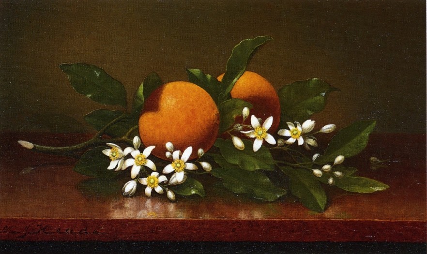 Two Oranges With Orange Blossoms by Martin Johnson Heade