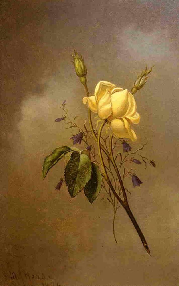 White Rose Against A Cloudy Sky by Martin Johnson Heade